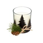 Feeric christmas - bougie parfum�e pot en verre avec sapin et pomme de pin 200 g biscuits �pic�s