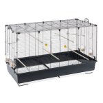 Ferplast piano 8 ferplast volière cage à oiseaux piano 8 : grande cage avec accessoires pour canaris ... Ferplast piano 8 ferplast volière cage à oiseaux piano 8 : grande cage avec accessoires pour canaris ...