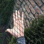 Filet anti - oiseaux filet de nylon pour pisciculture 8 x 8 m (noir)