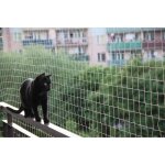 Filet balcon pour les chats et les oiseaux 5x5 m + 50 fastnet© + 1 tube silicone 80ml Filet balcon pour les chats et les oiseaux 5x5 m + 50 fastnet© + 1 tube silicone 80ml