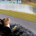 Filet de protection chat 8x3m transparent avec corde de fixation filet de scurit extra large