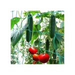 Filet treillis pour plantes grimpantes - hwdiy - 25 x 2 m - anti - uv - favorise croissance et r�coltes ...