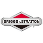 Filtre � essence adaptable briggs & stratton pour mod�les 296442 - 0002 - h5 296447 - 0003 - h1 305446 ...