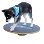 Plateau d�quilibre - fitpaws - 50 cm - antid�rapant - outil dentra�nement pour chien - renforcement musculaire ...
