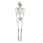 Flasidu halloween décoration simulation squelette humain os de crâne réaliste halloween party 170cm Flasidu halloween décoration simulation squelette humain os de crâne réaliste halloween party 170cm