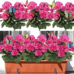 Fleurs artificielles pour ext�rieur - holisane - lot de 4 - g�raniums - 355 cm de haut - rose - r�sistant ...
