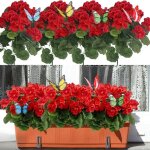 Fleurs artificielles ext�rieures - holisane - g�ranium - lot de 4 pi�ces - rouge - 35 cm de haut - r�sistant ...