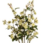 Fleur artificielle - hill interiors - rose des pr�s - vert - 1 tige - 74 cm de hauteur