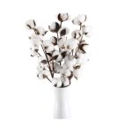 Fleurs de coton naturelle - 3 branches - langage des fleurs romantique - blanc - 55cm de longueur totale ...