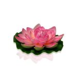 Fleur decorative lotus rose rose fuchsia