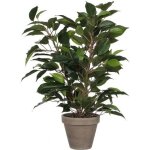 Fleur plante artificielle ficus natasja h40 cm - mica decorations
