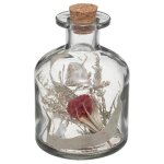 Fleurs sches bouteille h11cm - atmosphera createur dinterieur - rouge