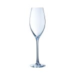 Flte  champagne 24cl expert du vin cristal darques - 4 verres
