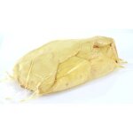 Foie gras cru dvein de qualit extra - igp sud - ouest