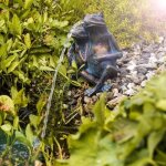 Fontaine solaire - duo de grenouille - 380 l / h