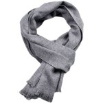Foulard en mousseline de soie pour hommes - gris clair - simple et elgant - printemps automne