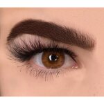 Freshtone lentilles de contact de couleur brown 3ton etui de rangement offert 12 mois