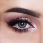 Freshtone� lentilles de contact de couleur sugar gray 3ton avizor solution 10ml kit de rangement offert ...