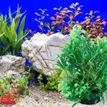 Fydun d�coration v�g�tale d?aquarium plante artificielle aquarium de poissons ornement aquarium de animalerie ...