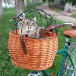 Fydun panier vélo en osier pour petits chiens et chats - transporteur danimaux de compagnie avec couverture ... Fydun panier vélo en osier pour petits chiens et chats - transporteur danimaux de compagnie avec couverture ...