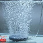 Fydun pierre � air a�rateur de pierre � bulles dair de 4 cm augmente les niveaux doxyg�ne et r�duit le ...