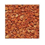 Gammarus aliment naturel pour aquariophilie 100 g pour tortues deau - animallparadise