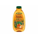 Garnier 400ml botanic therapy shampooing et d�m�lant pour enfants roi lion