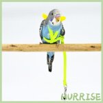 Garosa harnais et laisse ail�s r�glables harnais et laisse ail�s mignons pour petits oiseaux animalerie ...
