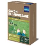 Gazon regarnissage caillard rustique rapide