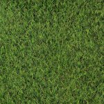Gazon synth�tique - haut de gamme - 20mm - 1x14m - r�sistant uv et m�t�o
