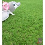 Gazon synth�tique valen�ay - 25 mm - rouleau de 3m x 8m