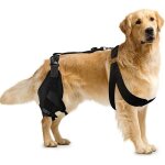 Genouill�re pour chien - attelle de jambe - blessure ligamentaire - douleurs articulaires - support arri�re ...
