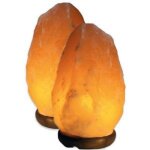 Lampe th�rapeutique - geofossils - lot de 2 - cristal de sel de lhimalaya - poids 2 � 3 kg - �lectrique ...