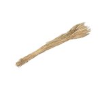 Gerbe pis de bl sch 100g 65 - 70cm naturel beige ivoire crme cru naturel taupe