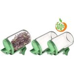 Germoirs en verre lot de 3