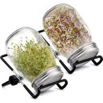 Germoir - bocal � germes 450 ml - verre transparent - couvercle acier inoxydable - cylindrique