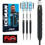 Gerwyn price 22g fl�chettes pointe acier en laiton darts professionnel avec vols et tiges