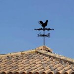 Girouette coq champignon ornement girouettes métal girouette vent outil de mesure noir pour jardin cour ... Girouette coq champignon ornement girouettes métal girouette vent outil de mesure noir pour jardin cour ...