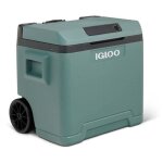 Glacire lectrique - igloo - 12 v - 230 v - spruce - 42 l