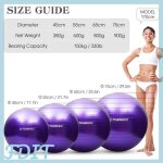 Gototop ballon de yoga balle de yoga antid�flagrante boule d�quilibre de fitness avec pompe sport barre ...
