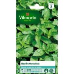 Vilmorin sachet graines de basilic marseillais Vilmorin sachet graines de basilic marseillais