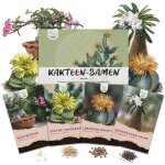 Graines de cactus exotiques � haut taux de germination - set de graines succulentes pour votre propre ...