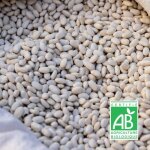 Graines de haricot nain � �cosser coco blanc - sans traitement