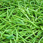 Graines de haricot nain filet argus - vimorin