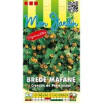 Graine - semence - br�de mafane - cresson de para