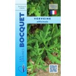 Graine - semence - verveine officinale