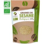 Graines de ssame bio - 500g