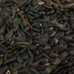 Graines de tournesol noir busybeaks - nourriture riche en huile pour oiseaux sauvages de jardin occup�s ...