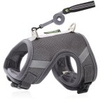 (gray / m 2. 5 - 4kg)ensemble de harnais et laisse pour chat et chien harnais en maille douce pour chiot ... (gray / m 2. 5 - 4kg)ensemble de harnais et laisse pour chat et chien harnais en maille douce pour chiot ...