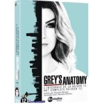 Greys anatomy - integrale saison 13 (dvd)